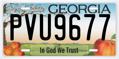 GA license plate PVU9677