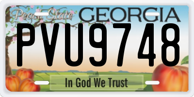 GA license plate PVU9748