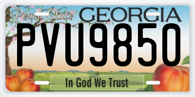 GA license plate PVU9850
