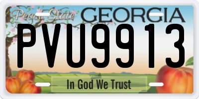 GA license plate PVU9913