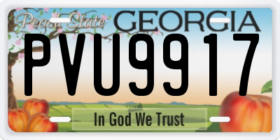 GA license plate PVU9917