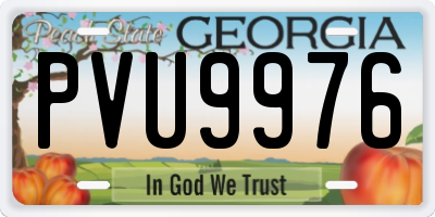 GA license plate PVU9976