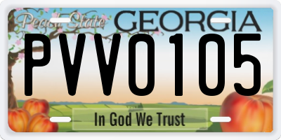 GA license plate PVV0105