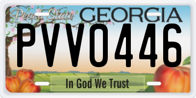 GA license plate PVV0446