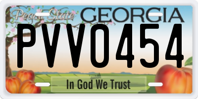 GA license plate PVV0454