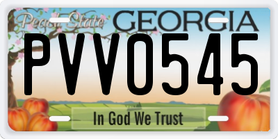 GA license plate PVV0545