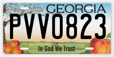 GA license plate PVV0823