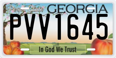 GA license plate PVV1645