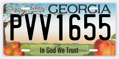 GA license plate PVV1655