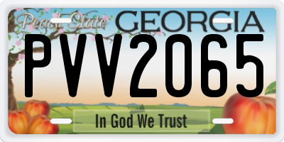GA license plate PVV2065