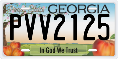GA license plate PVV2125