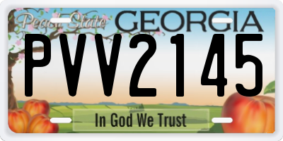 GA license plate PVV2145