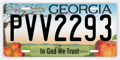 GA license plate PVV2293