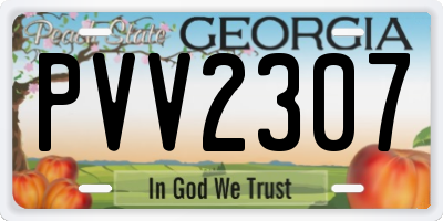 GA license plate PVV2307