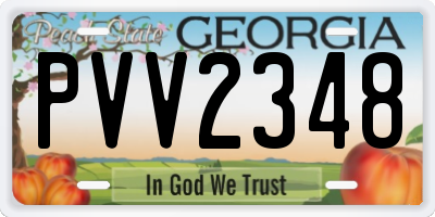 GA license plate PVV2348