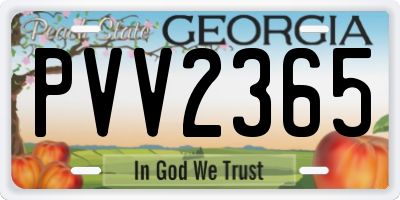 GA license plate PVV2365