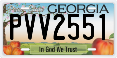 GA license plate PVV2551