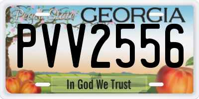 GA license plate PVV2556
