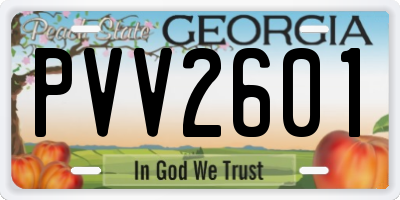 GA license plate PVV2601