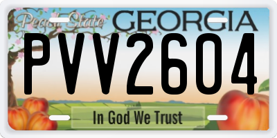 GA license plate PVV2604