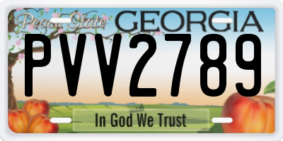 GA license plate PVV2789