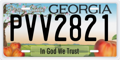 GA license plate PVV2821
