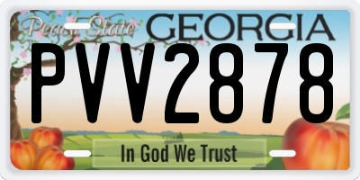 GA license plate PVV2878