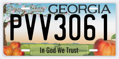 GA license plate PVV3061