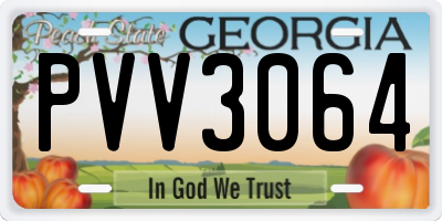 GA license plate PVV3064