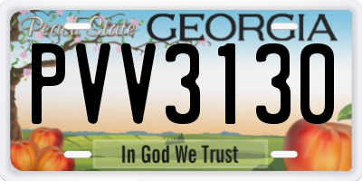 GA license plate PVV3130