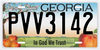 GA license plate PVV3142