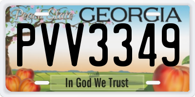 GA license plate PVV3349