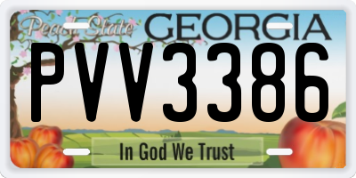 GA license plate PVV3386