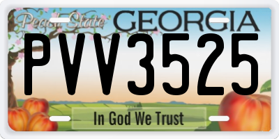GA license plate PVV3525