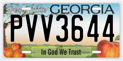 GA license plate PVV3644