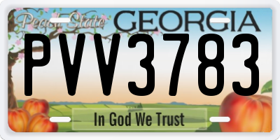GA license plate PVV3783