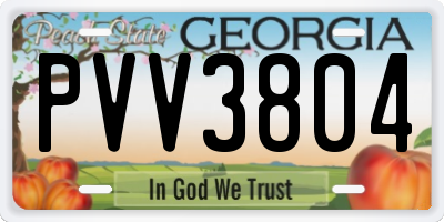 GA license plate PVV3804