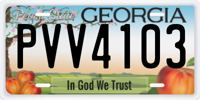 GA license plate PVV4103
