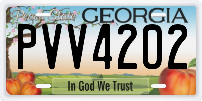 GA license plate PVV4202
