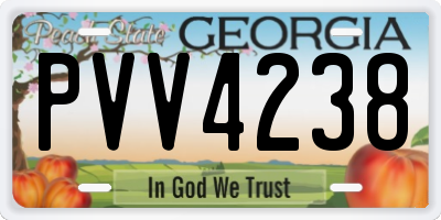 GA license plate PVV4238