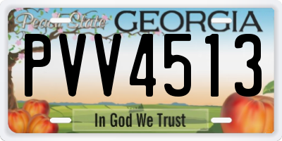 GA license plate PVV4513