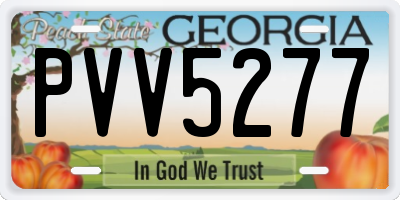 GA license plate PVV5277