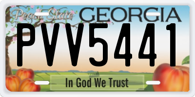 GA license plate PVV5441