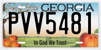 GA license plate PVV5481