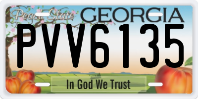 GA license plate PVV6135