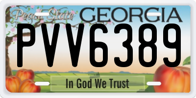 GA license plate PVV6389