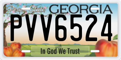 GA license plate PVV6524