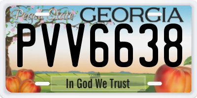 GA license plate PVV6638