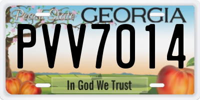 GA license plate PVV7014