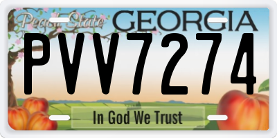 GA license plate PVV7274